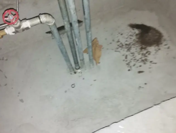 山城卫生间测漏水价格明细